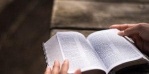 5 modi di usare la Bibbia che non avete mai provato