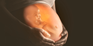 Il tuo bambino e la sua meravigliosa vita prima della nascita