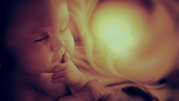 BAMBINO, UTERO, FETO