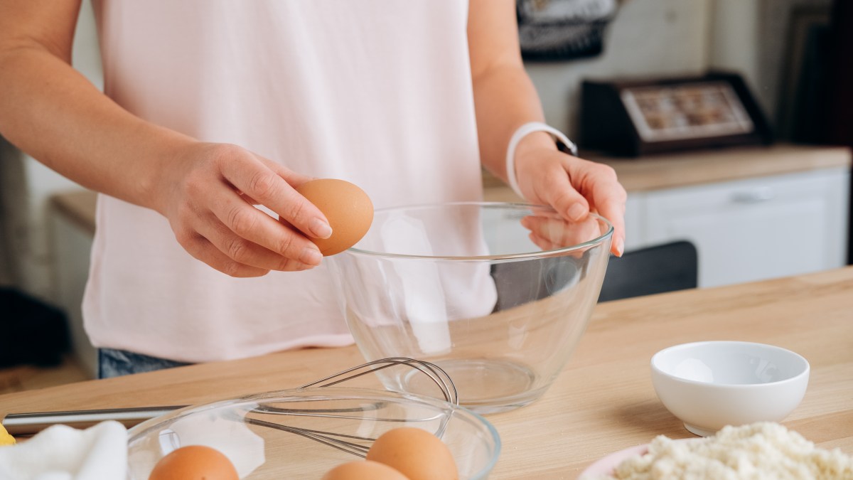 EGG