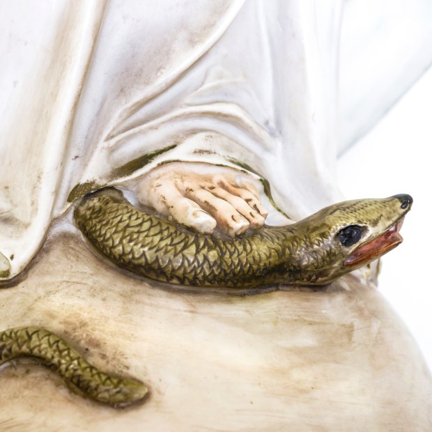 VIRGIN MARY