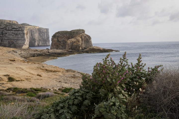 MALTA-ALETEIA-P1550727.JMALTA-ALETEIA-PG.jpg