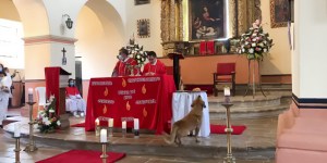 Virale il video del cane che &#8220;ruba&#8221; il pane dell&#8217;offertorio durante la messa