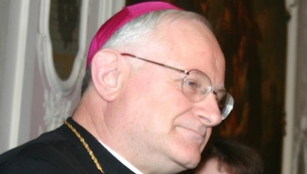 vescovo verona anti gender