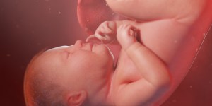 Sapevi che già in utero il tuo bambino &#8220;impara&#8221; a piangere?