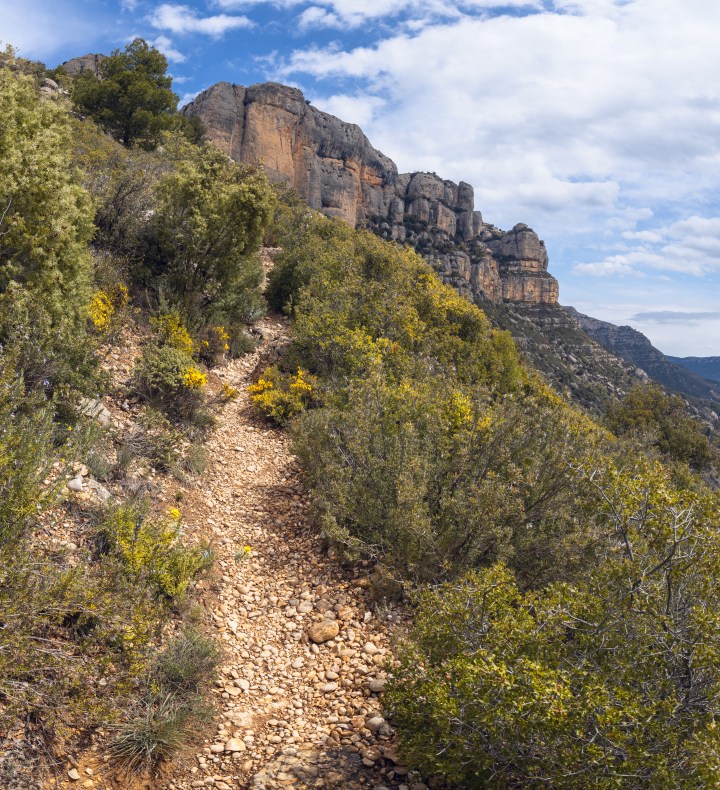 carthusian-camino-2.jpeg