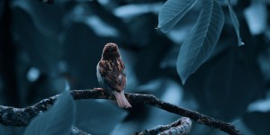 La morte fa paura fino a quando non ci scopriamo costantemente amati