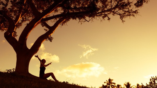 TRAMONTO SOTTO UN ALBERO