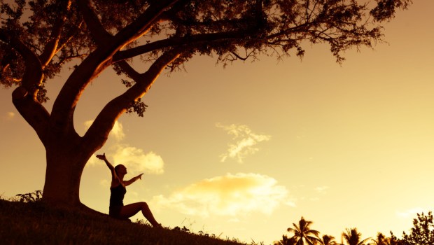 TRAMONTO SOTTO UN ALBERO