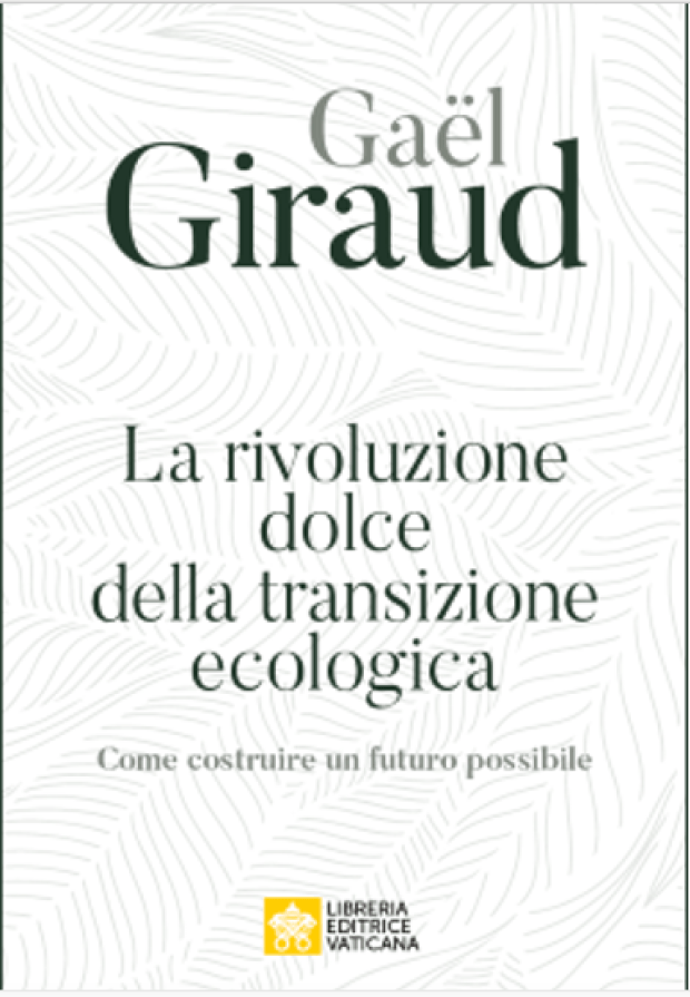 libro transizione ecologica