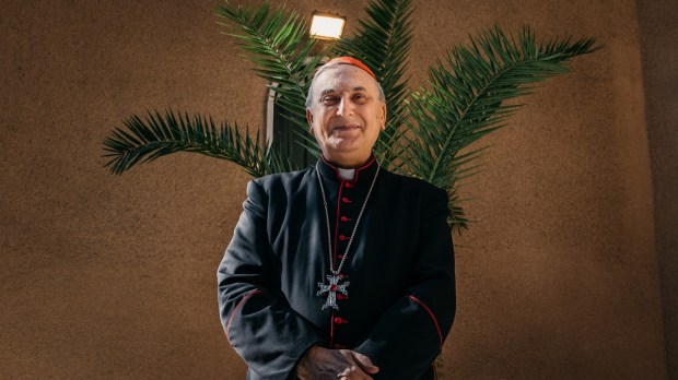Cardinal Zenari