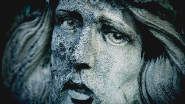 VOLTO DI CRISTO