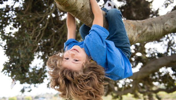 Kids climbing trees hanging upside down on a tree in a park Child protection