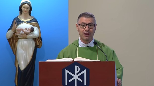 Padre Carlos Andrés Montoya