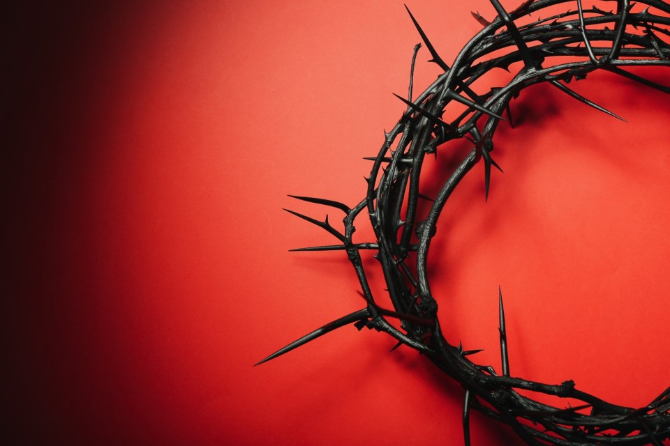 La preghiera che il demonio non sopporta: la Novena del Preziosissimo
